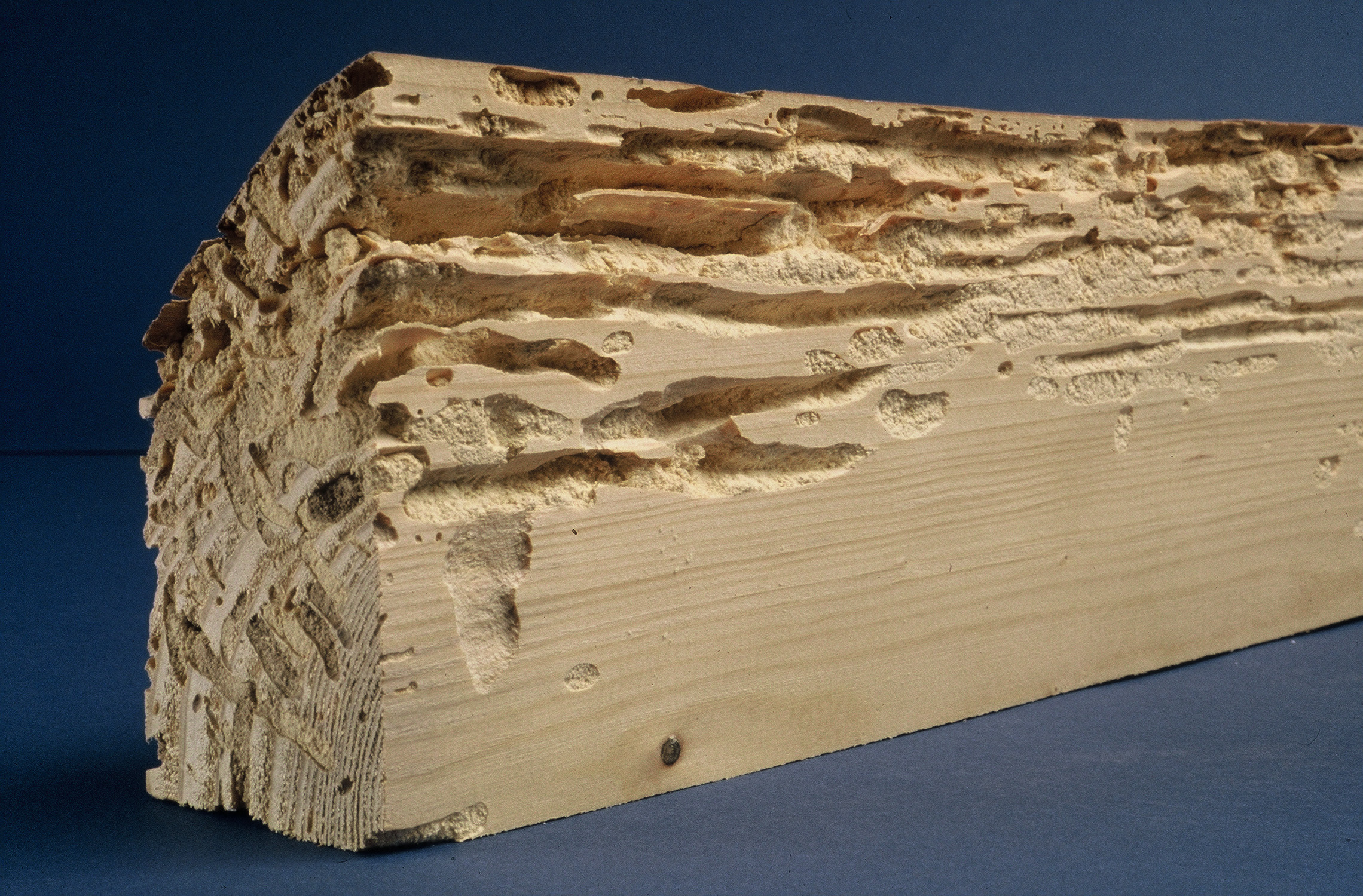 Traitement de charpente, bois à Lons-le-Saunier